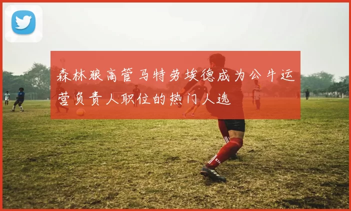 森林狼高管马特劳埃德成为公牛运营负责人职位的热门人选