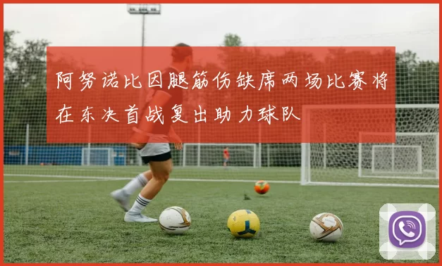 阿努诺比因腿筋伤缺席两场比赛将在东决首战复出助力球队